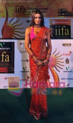 Bipasha Basu at the IIFA Awards 2010 on 5th June 2010 (6).jpg
